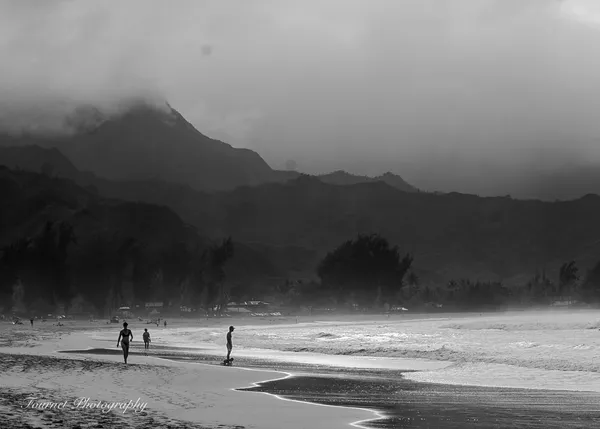 Paradise's Contrast